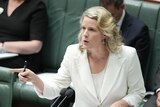 Clare O'Neil speaks in Question Time
