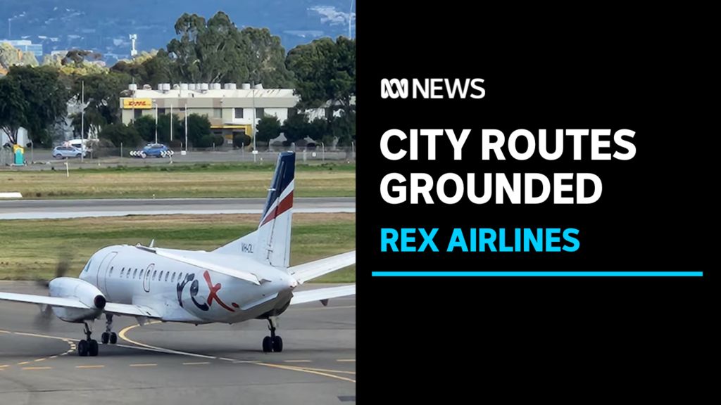 Regional Airline Rex continues flying in regional Australia - ABC News