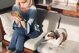 Unidentified woman with blonde hair sitting on couch with a Jack Russell Terrier. She wears jeans and her cut is out of frame.