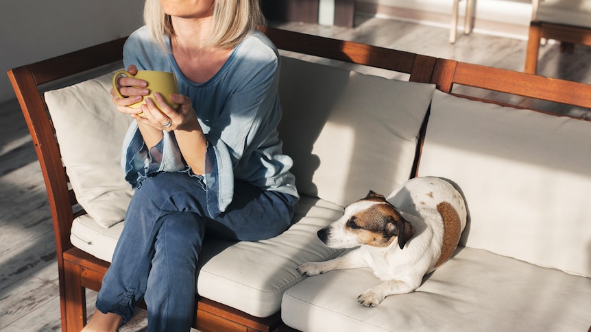 Unidentified woman with blonde hair sitting on couch with a Jack Russell Terrier. She wears jeans and her cut is out of frame.