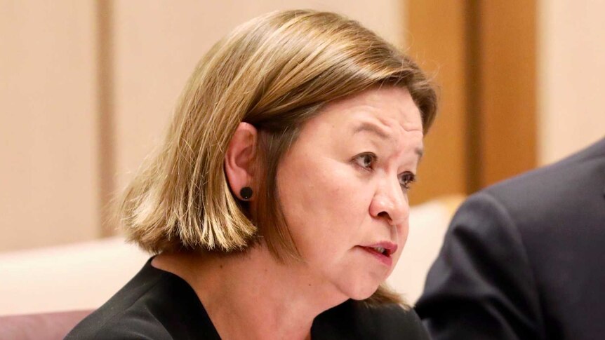 Michelle Guthrie speaks to senators in an estimates committee. Communications Minister Mitch Fifield is in the background.