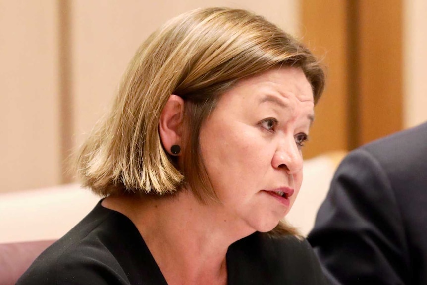 Michelle Guthrie speaks to senators in an estimates committee. Communications Minister Mitch Fifield is in the background.