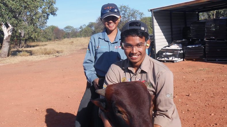 Indonesian students experience Top End cattle stations