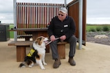 man sits on a park bench with his dog. 