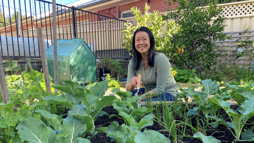 A picture of a vegetable garden in the fore, with woman gardener in the picture