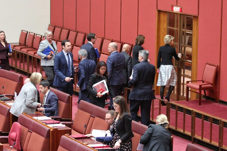 A dozen senators crowd around an exit to the chamber.