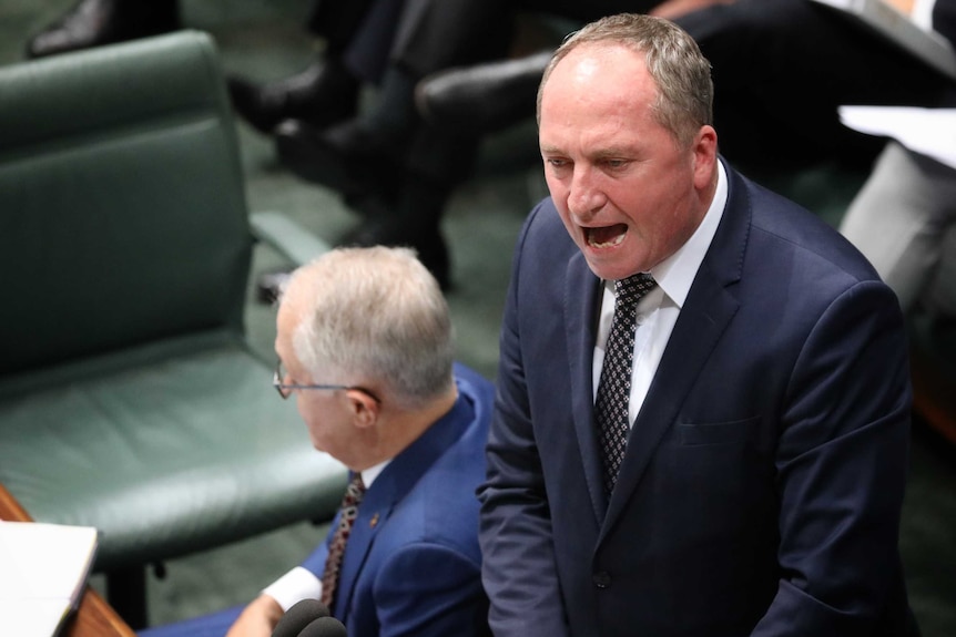 Barnaby Joyce, slightly red in the face, shouts with his mouth wide open. Malcolm Turnbull sits behind, with his back to him.