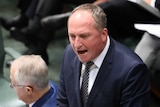 Barnaby Joyce, slightly red in the face, shouts with his mouth wide open. Malcolm Turnbull sits behind, with his back to him.