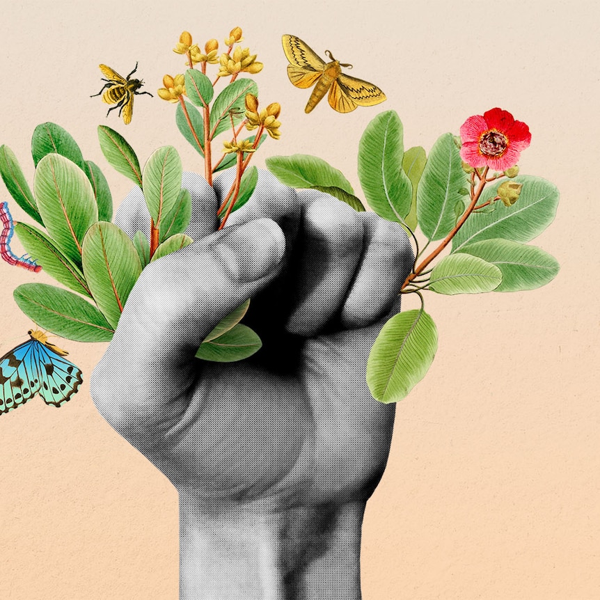 A hand clenched into a fist holds plant cuttings as butterflies fly around it. It's a stylised image which serves as a logo.