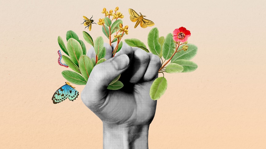 A hand clenched into a fist holds plant cuttings as butterflies fly around it. It's a stylised image which serves as a logo.