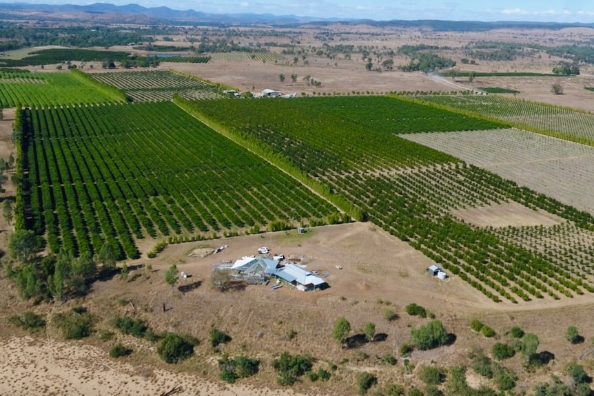 A drone photo of a house being built on the banks of the Burnett River just outside Gayndah, in Queensland.