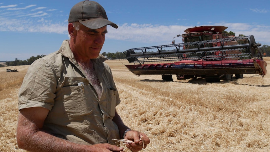 Boyup Brook farmer Peter Reid stands next to a harvester in the paddock