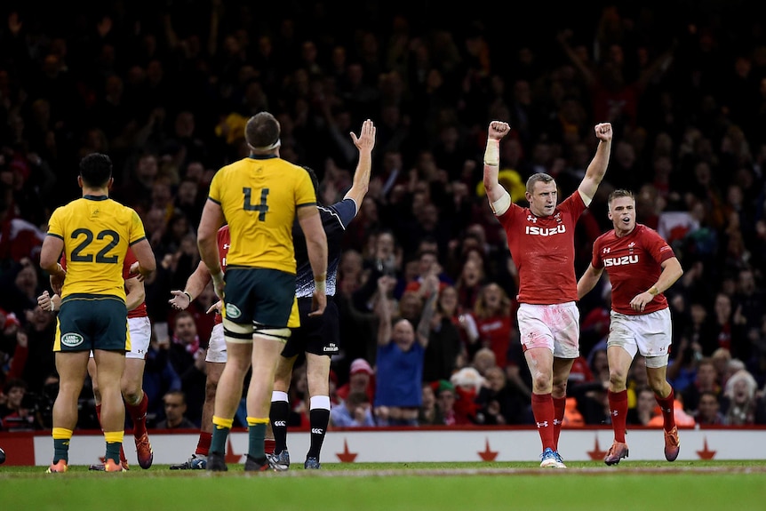 Wales celebrates win over Wallabies