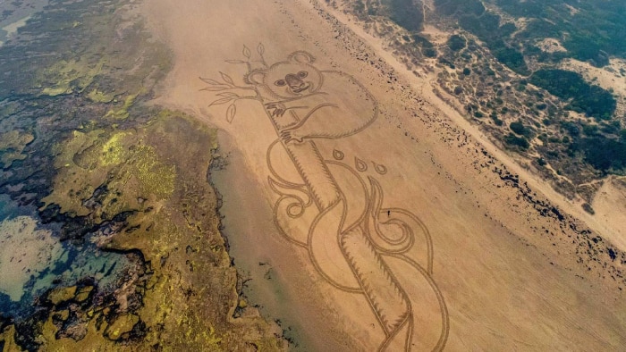 A photo from a drone of a koala drawn in the sand on the beach with a smoky sky.