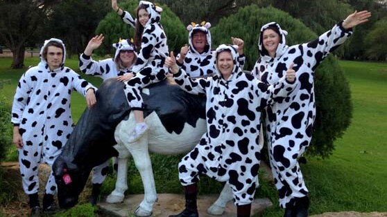 Cow suit world record attempt at Cowaramup