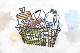 An illustration of a typical basket of groceries.