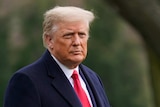 President Donald Trump in a suit outside with greenery behind him