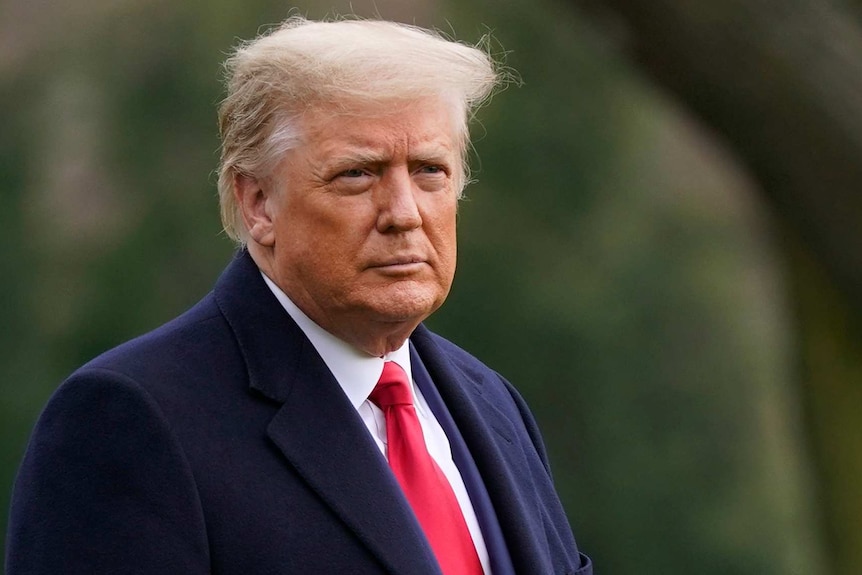 President Donald Trump in a suit outside with greenery behind him