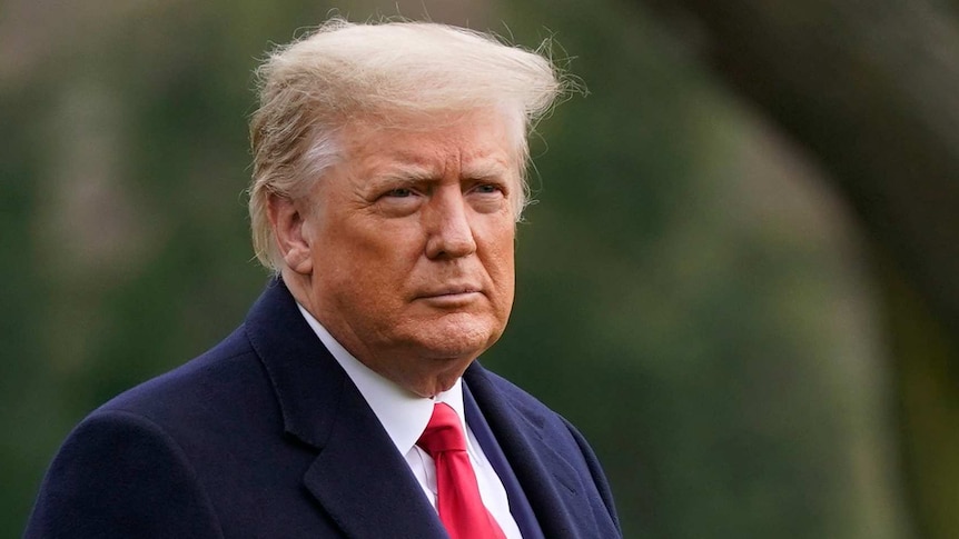 President Donald Trump in a suit outside with greenery behind him