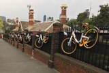 oBikes hanging on a Melbourne fence