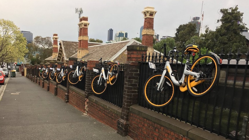 A number of oBikes hang along a wrought iron and brick fence in Melbourne.