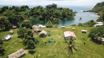 An aerial shot of green grass, palm trees, huts and the ocean.