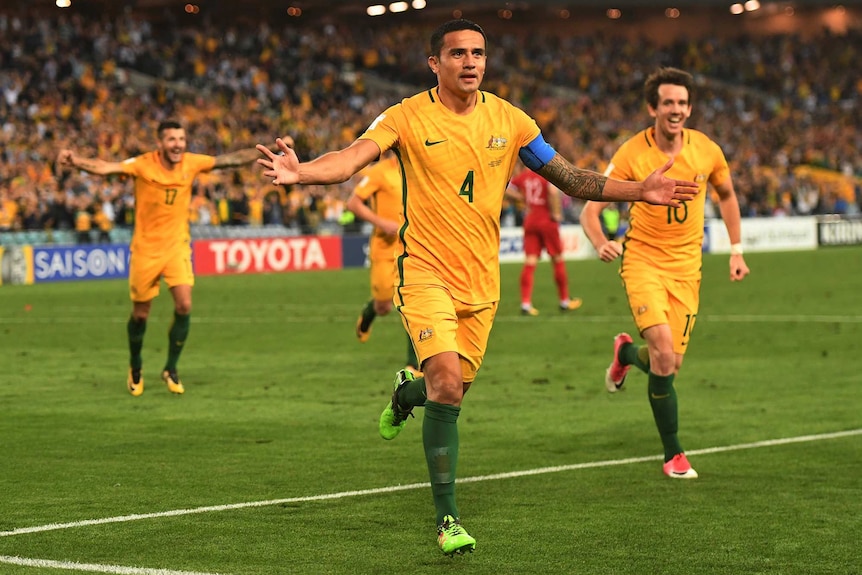 Australia's Tim Cahill spreads his arms as he celebrates after scoring.