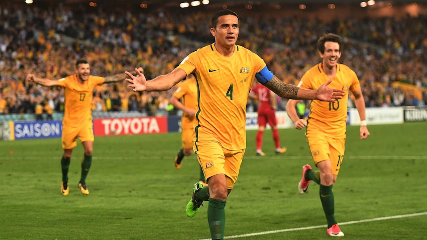 Australia's Tim Cahill spreads his arms as he celebrates after scoring.