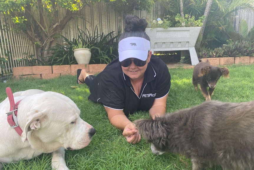 Woman lies on grass playing with three dogs.