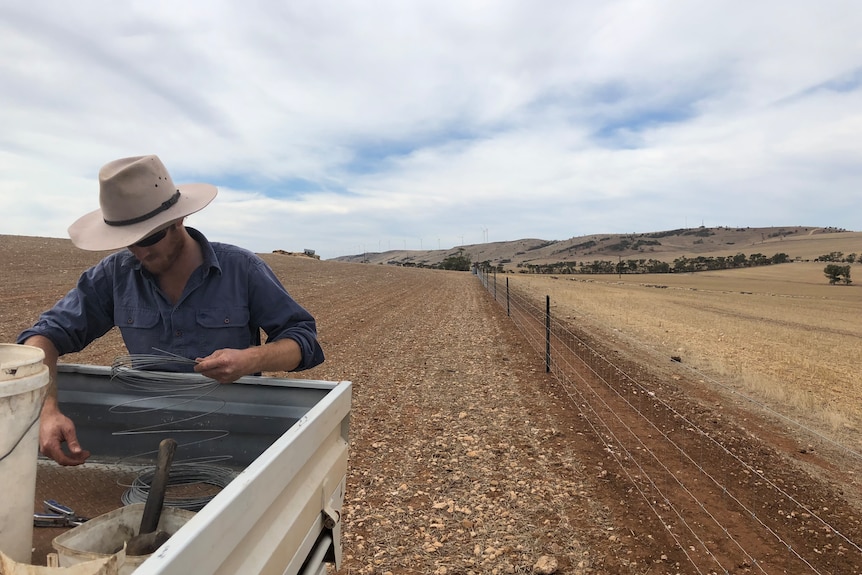 A male farmer in a blue shirt and white akubra looks done in his ute tray with a background of brown, dry and dusty paddock. 