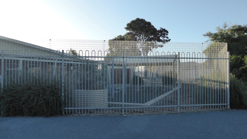 Fenced area at back of building, trees and bushes on left and in background