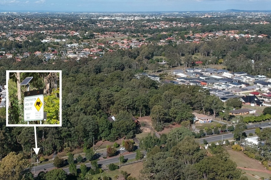 Aerial image of bushland