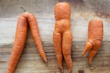 three off shaped carrots