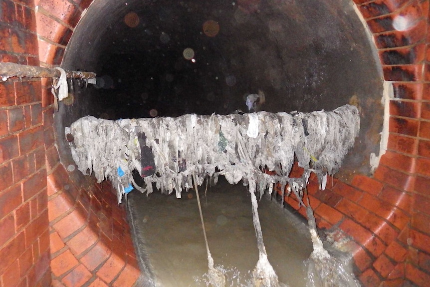 Wet wipes stuck on an overflow drain that runs into the Thames.