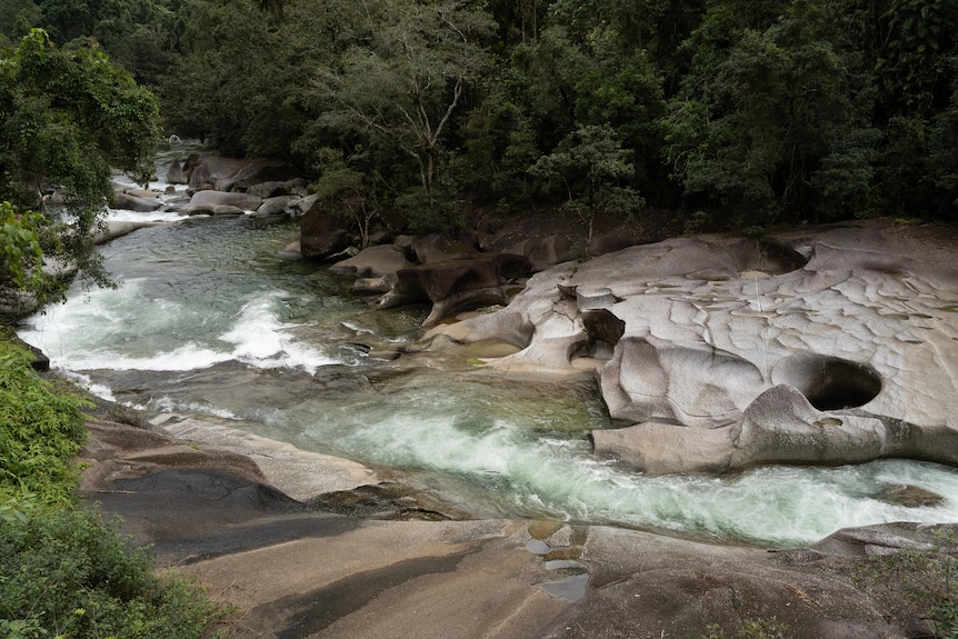 Fast moving water moves through a rocky creek