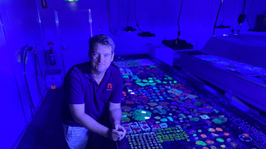 A man in a navy polo shirt rests on his elbow on the edge of a pool holding hundreds of brightly coloured corals.