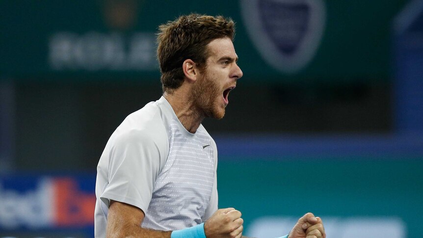 Argentina's Juan Martin del Potro celebrates after beating Rafael Nadal at the Shanghai Masters.