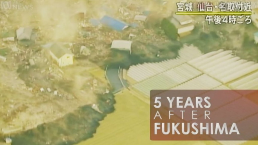 Five years after Fukushima, the clean-up continues