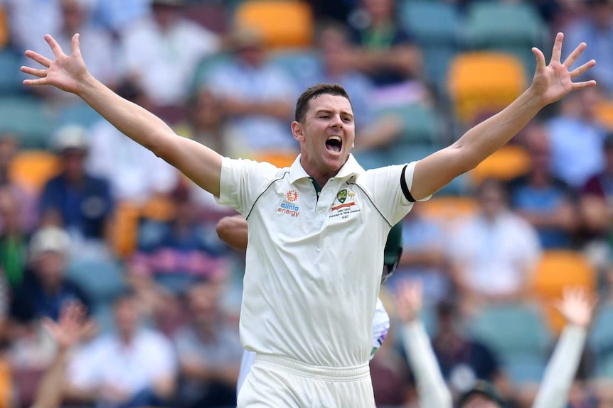 Australia bowler Josh Hazlewood appeals for a wicket with both arms outsretched.