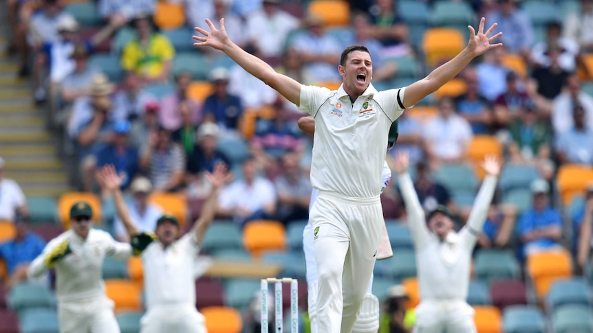 Australia bowler Josh Hazlewood appeals for a wicket with both arms outsretched.