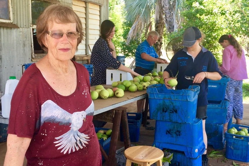 A woman standing in the foreground in front of four mango packers.