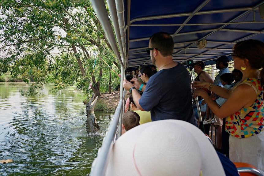 People on a boat take photos of a croc jumping out of the water.