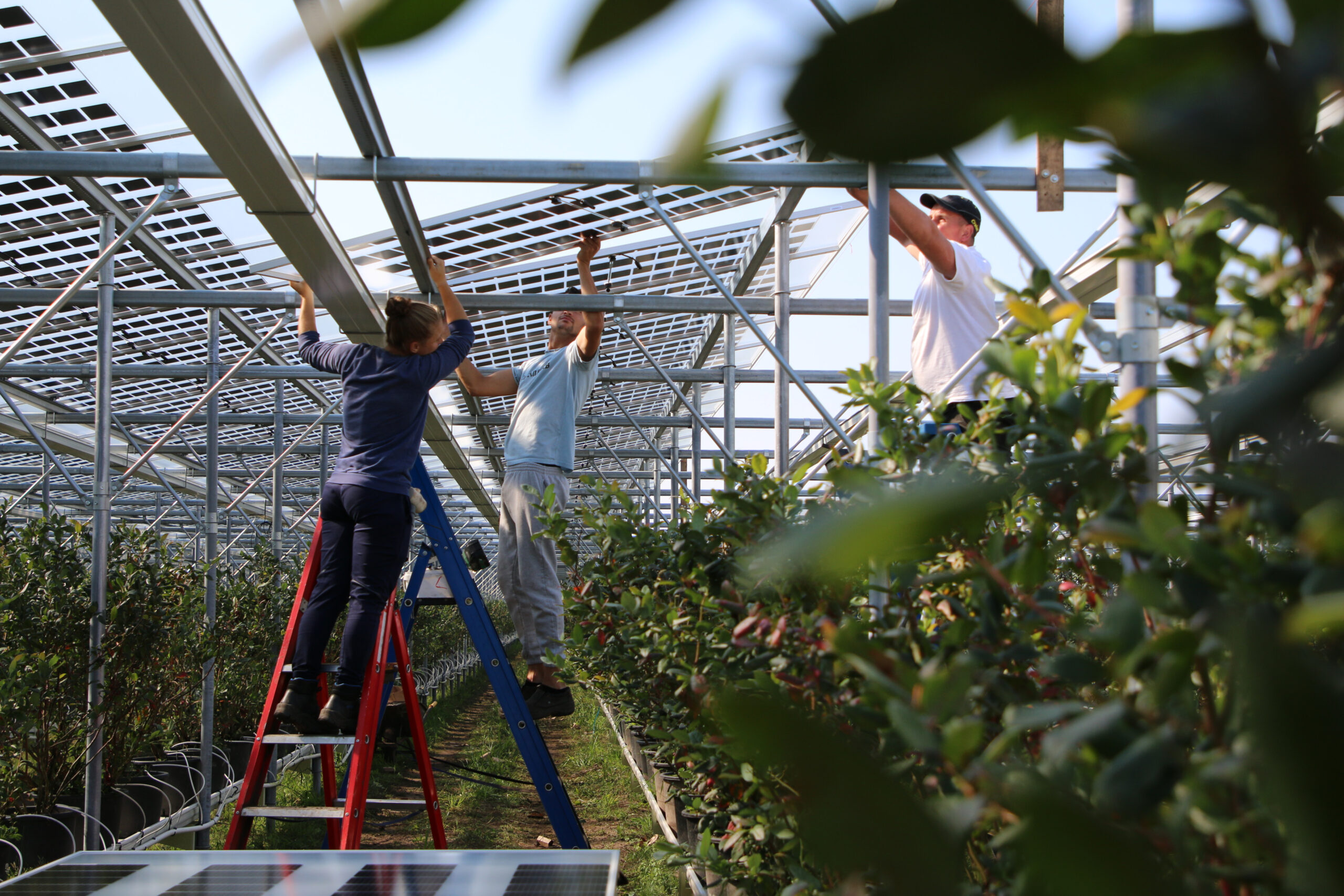 As farm fuel costs rise, clear solar might offer a solution