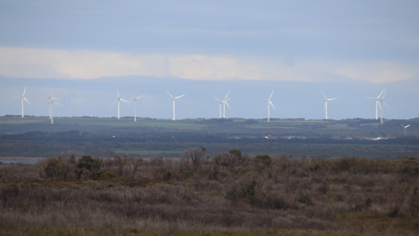Wind turbines in the distance.