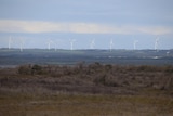 Wind turbines in the distance.