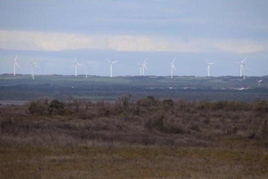 Wind turbines in the distance.