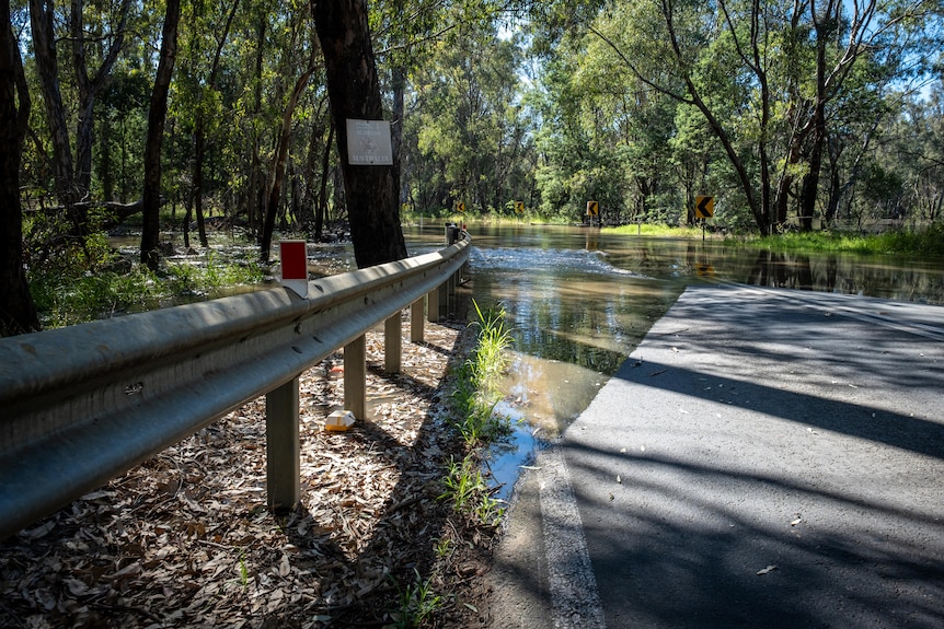 Water covers a country road. The road is surrounded by thick, green bushland