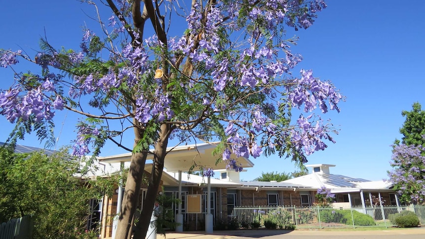 Exterior building with flowering trees