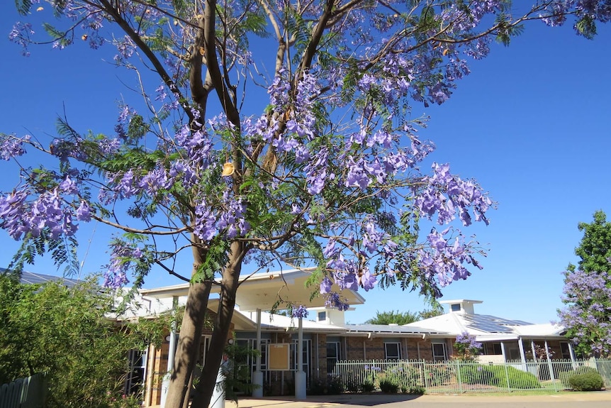 Exterior building with flowering trees