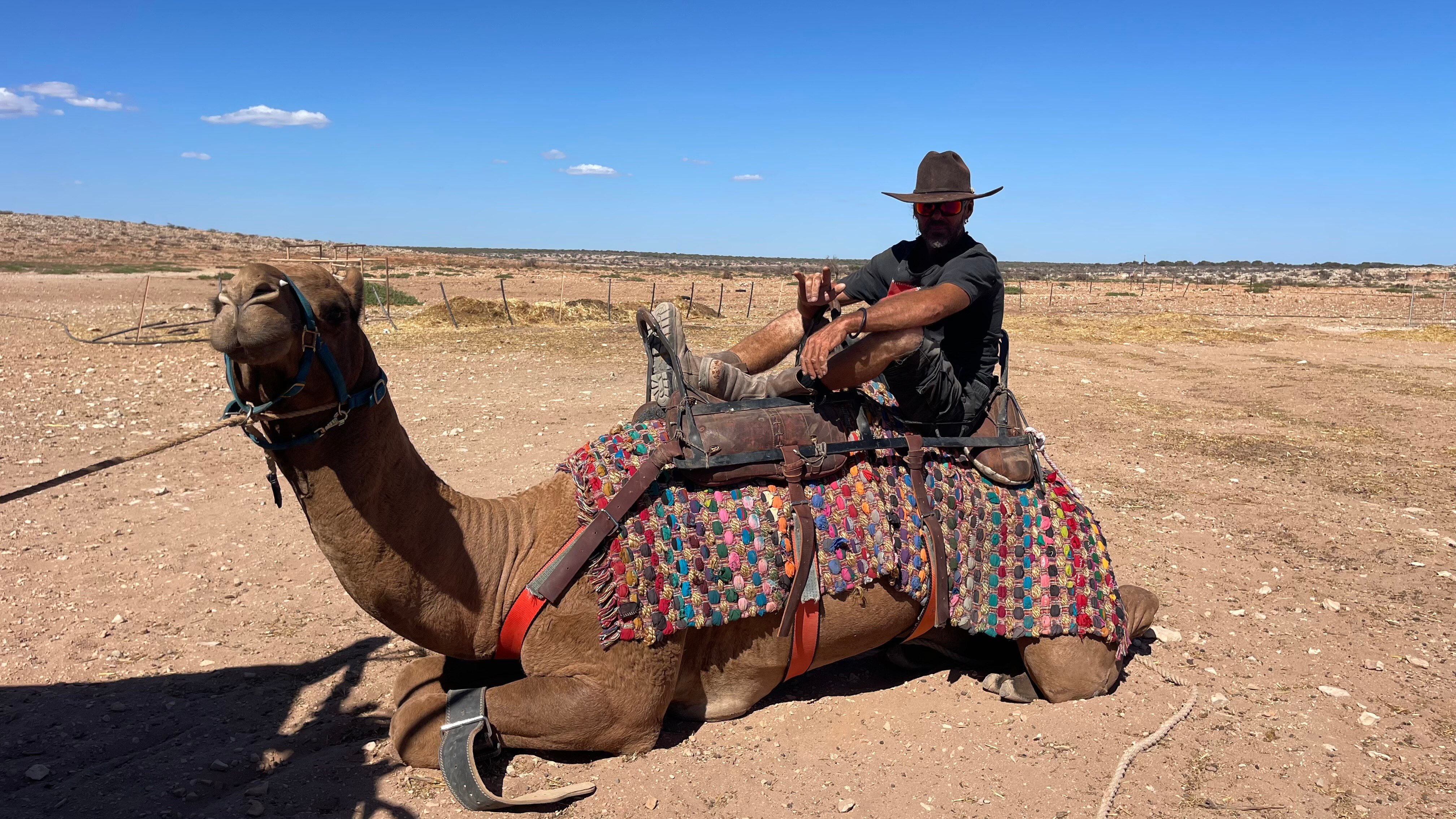 The wild camel catcher - ABC listen